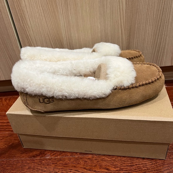 BNIB UGG Women Dakota Spill Seam Suede Shearling Lining Fur Chestnut Size 11 - Picture 11 of 15